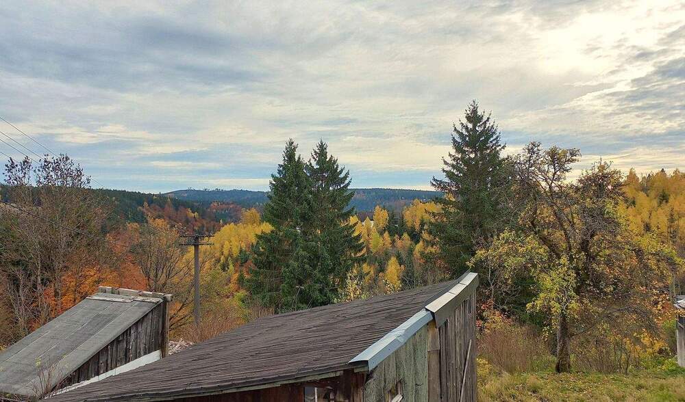 Bauernhaus, Landhaus Nordhalben - 4 Zimmer, 105 m&sup2;, 45.000&euro; | Angebot:25906558