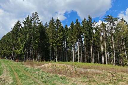 Grundstück Helmbrechts - 13.000&euro; | Angebot:26753440