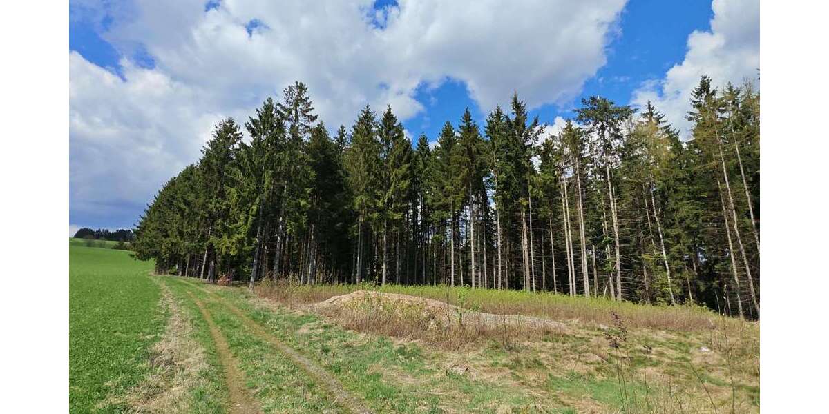 Grundstück Helmbrechts - 13.000&euro; | Angebot:26753440
