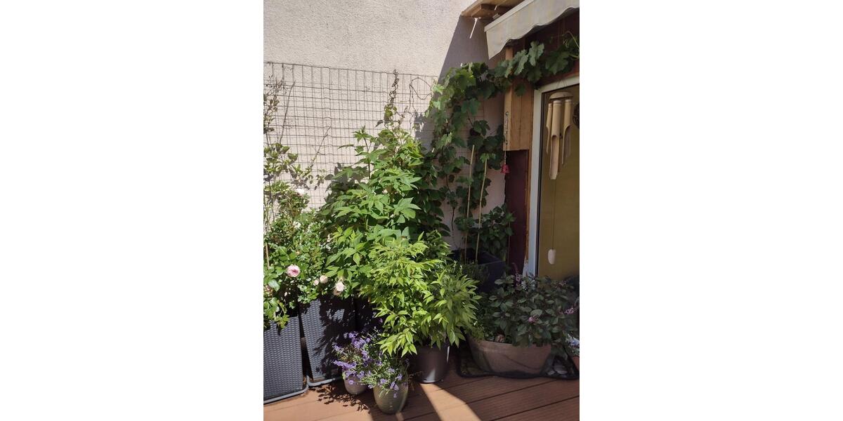 Reihenhaus Gefell - 5 Zimmer, 100 m&sup2;, 90.000&euro; | Angebot:22350191