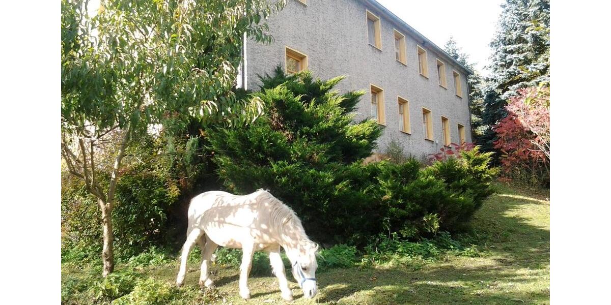 Mehrfamilienhaus, Wohnhaus Gefell - 12 Zimmer, 300 m&sup2;, 370.000&euro; | Angebot:25803486