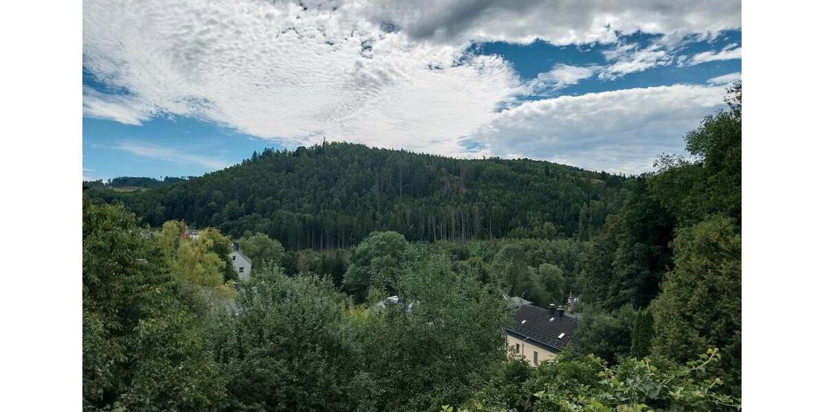 Doppelhaushälfte Rosenthal am Rennsteig - 54.000&euro; | Angebot:26948554