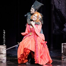 Die Zauberflöte 17.05.2026 Vogtlandtheater