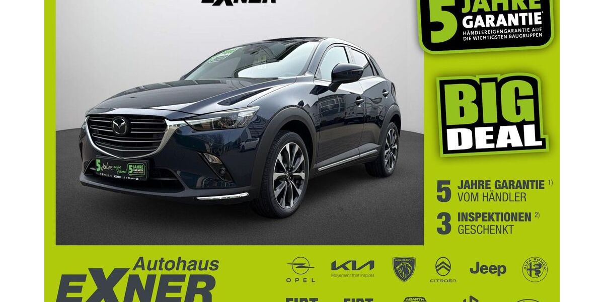 Mazda CX-3 124.944 km 10.490 &euro; Hof 95032