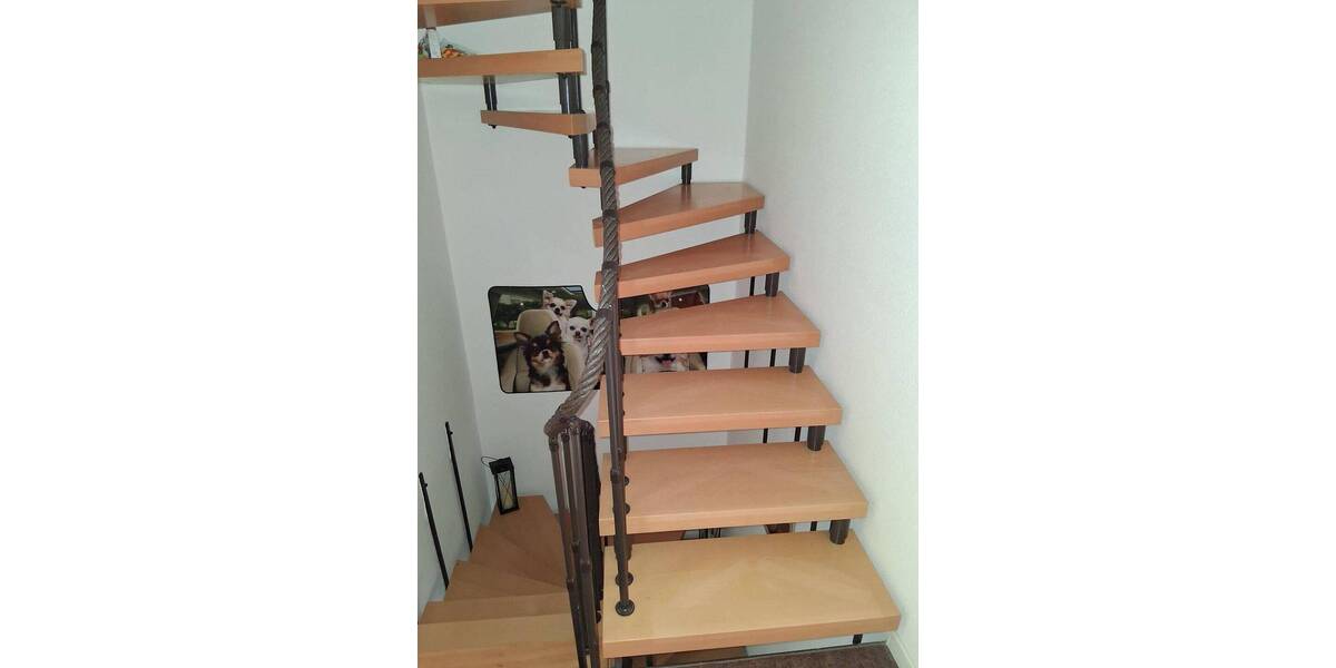 Doppelhaushälfte Plauen Reißig - 6 Zimmer, 141 m&sup2;, 329.000&euro; | Angebot:26875319