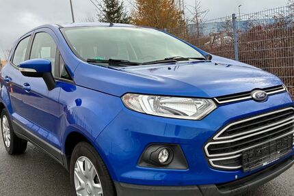 Ford EcoSport 220.000 km 2.999 &euro; Rehau 95111