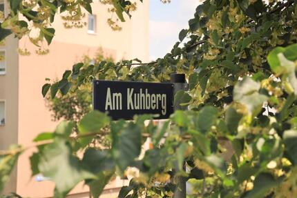 Wohnung Bad Elster - 1 Zimmer, 34 m&sup2;, 240&euro; | Angebot:25219056