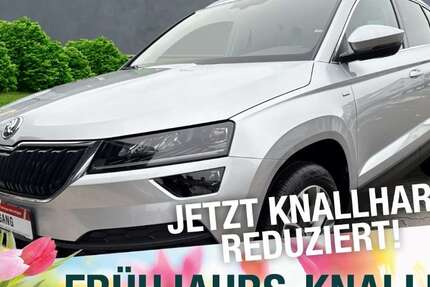 Skoda Karoq 51.165 km 22.470 &euro; Naila 95119