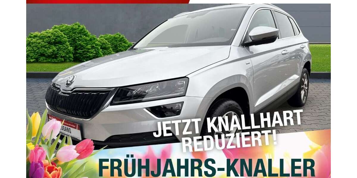 Skoda Karoq 51.165 km 22.470 &euro; Naila 95119