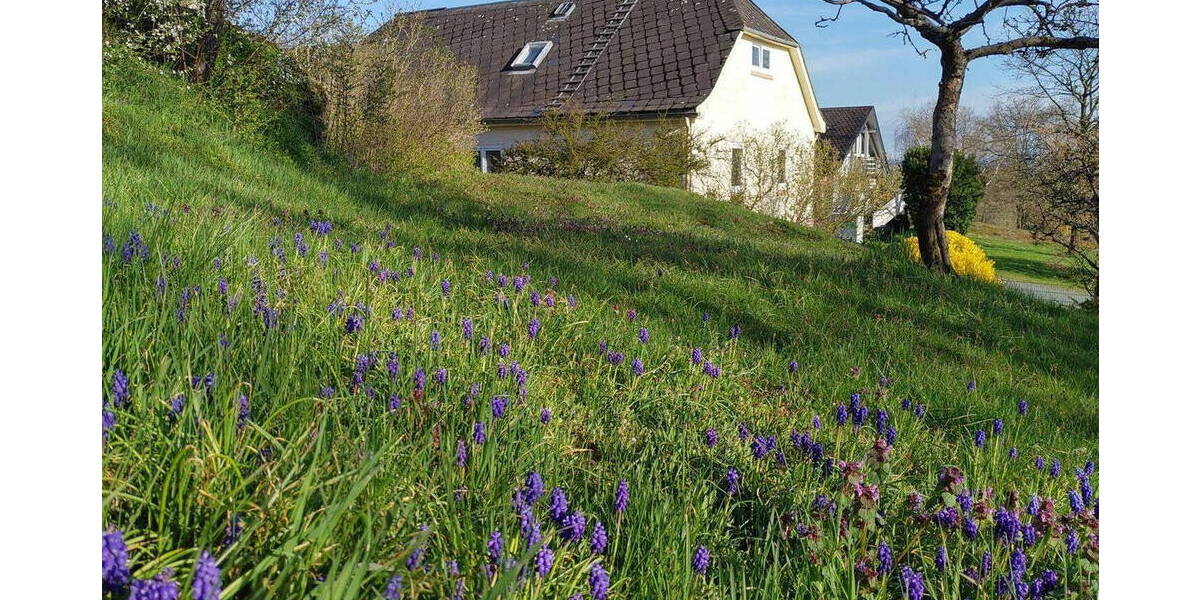 Einfamilienhaus Selbitz Neuhaus - 6 Zimmer, 111 m&sup2;, 129.000&euro; | Angebot:26034800