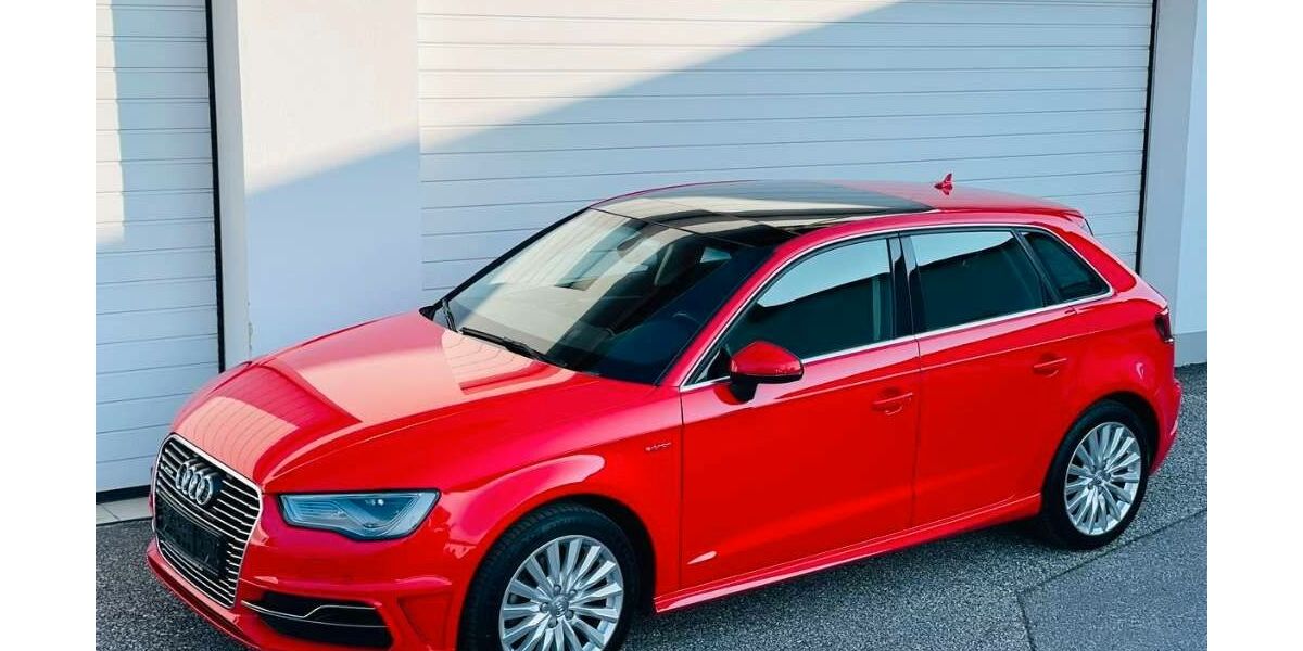 Audi A3 62.000 km 10.299 &euro; Reusa 08529