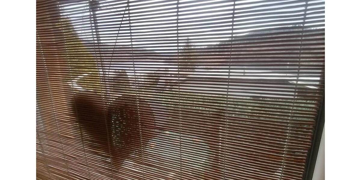 Bungalow Saalburg-Ebersdorf Ebersdorf - 3 Zimmer, 24 m&sup2;, 21.500&euro; | Angebot:23012128