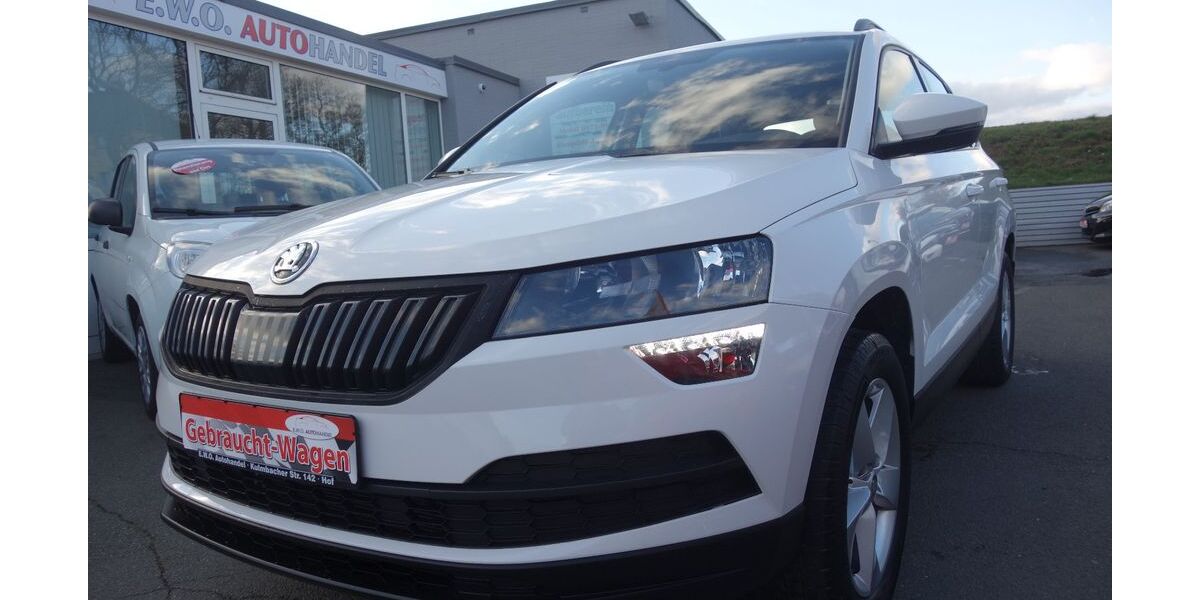 Skoda Karoq 191.000 km 13.990 &euro; Hof 95030