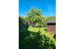 Doppelhaushälfte Hof Neuhof - 4 Zimmer, 78 m&sup2;, 129.000&euro; | Angebot:26990997