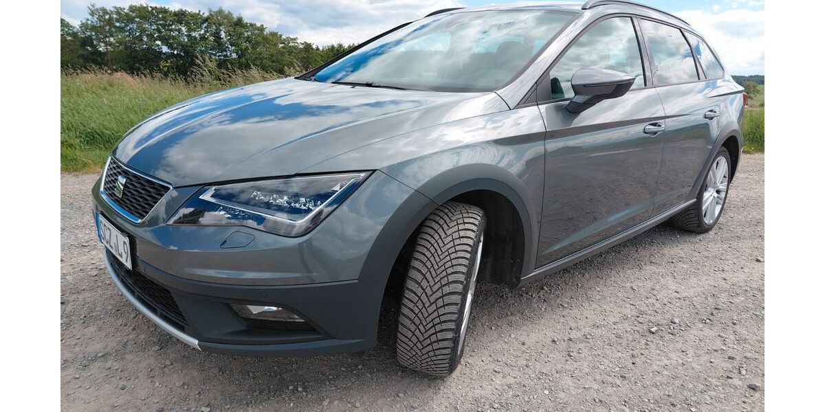 Seat Leon 176.000 km 11.800 &euro; Tanna bei Schleiz 07922