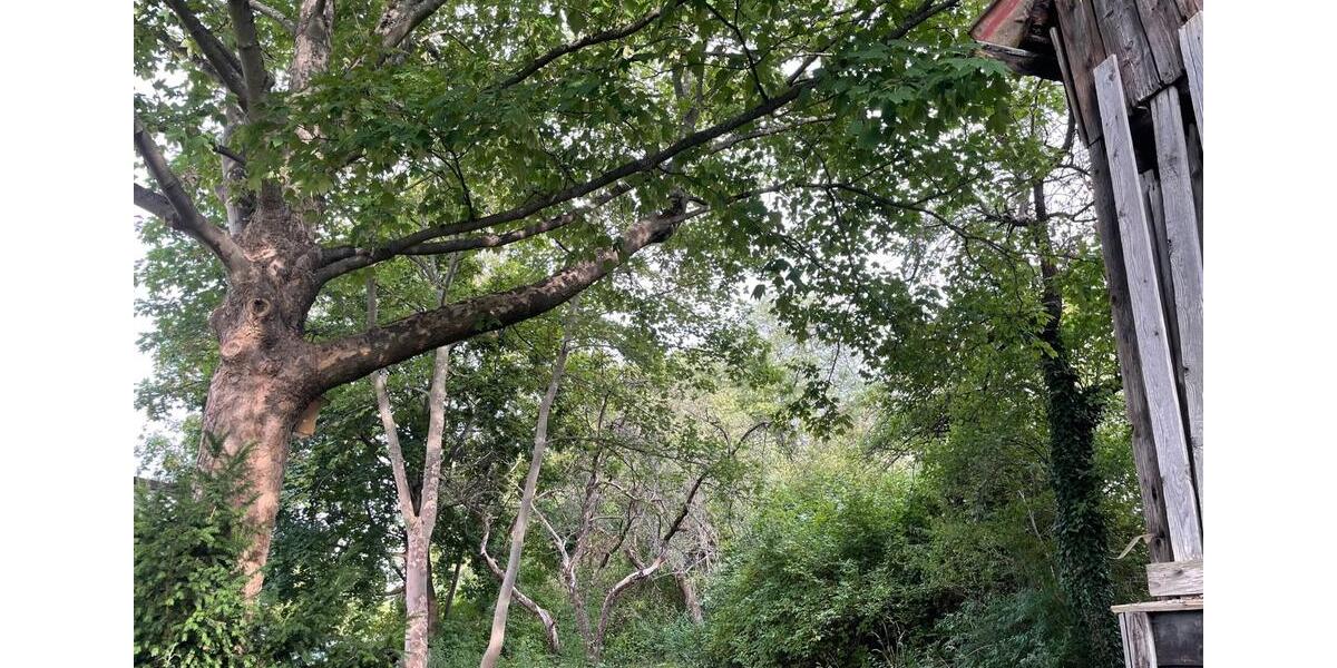 Reihenhaus Plauen Altstadt - 99.000&euro; | Angebot:19241726