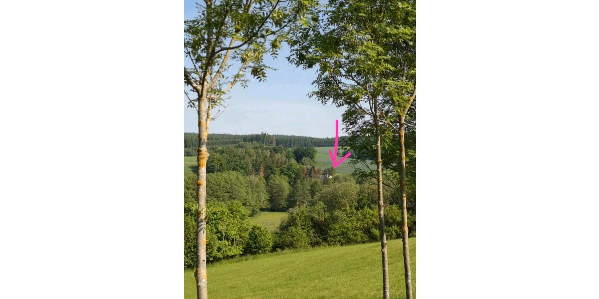 Bauernhaus, Landhaus Gefell - 12 Zimmer, 300 m&sup2;, 370.000&euro; | Angebot:25803486