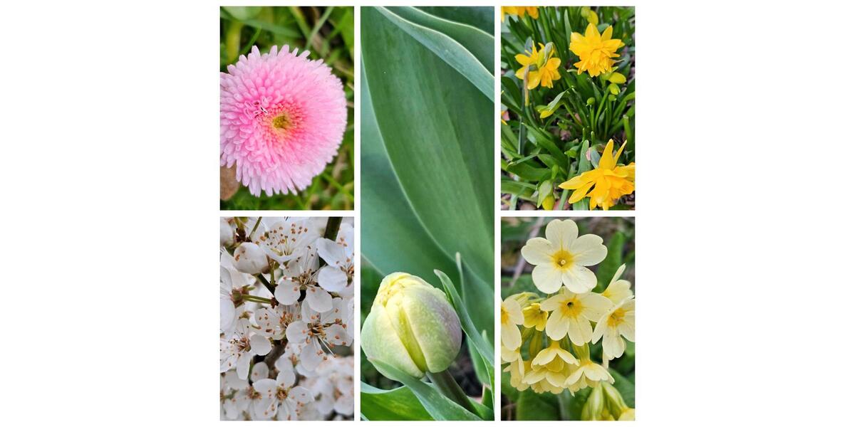 Mehrfamilienhaus, Wohnhaus Plauen - 9 Zimmer, 300 m&sup2;, 675.000&euro; | Angebot:26169132