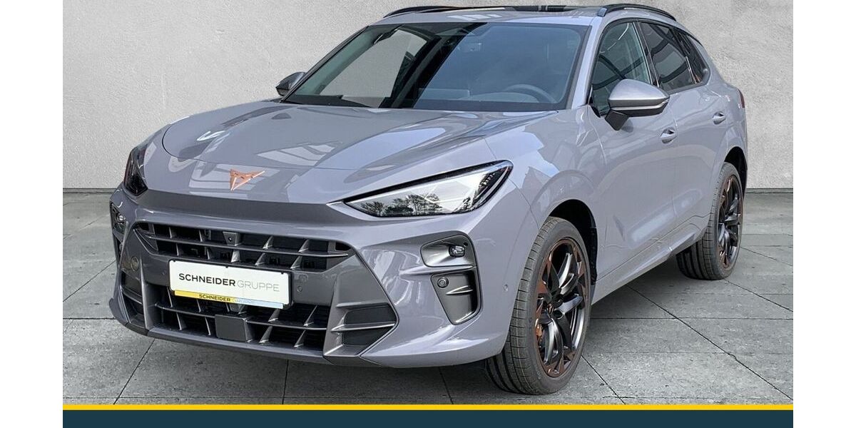 Cupra Terramar 7.500 km 40.990 &euro; Hof 95030