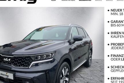 Kia Sorento 13.500 km 47.850 &euro; Hof 95030