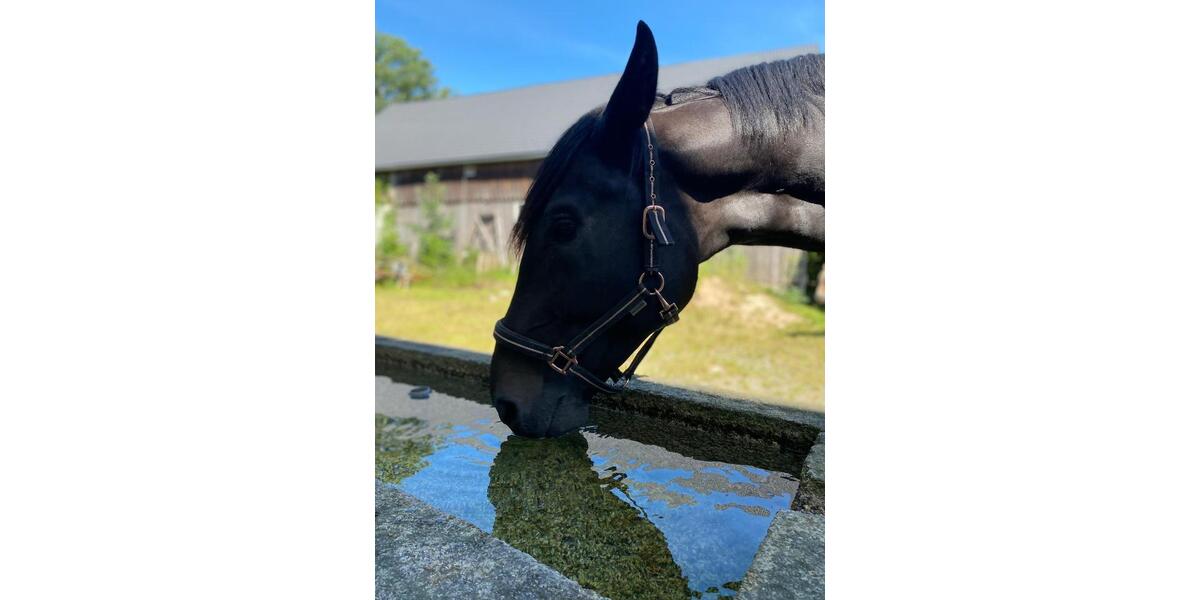 Bauernhaus, Landhaus Konradsreuth - 12 Zimmer, 500 m&sup2;, 299.000&euro; | Angebot:26226229