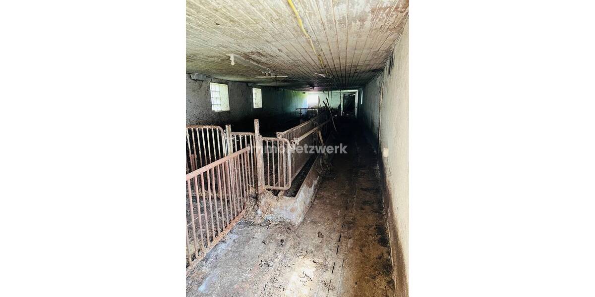 Bauernhaus, Landhaus Köditz - 6 Zimmer, 220 m&sup2;, 170.000&euro; | Angebot:25717048