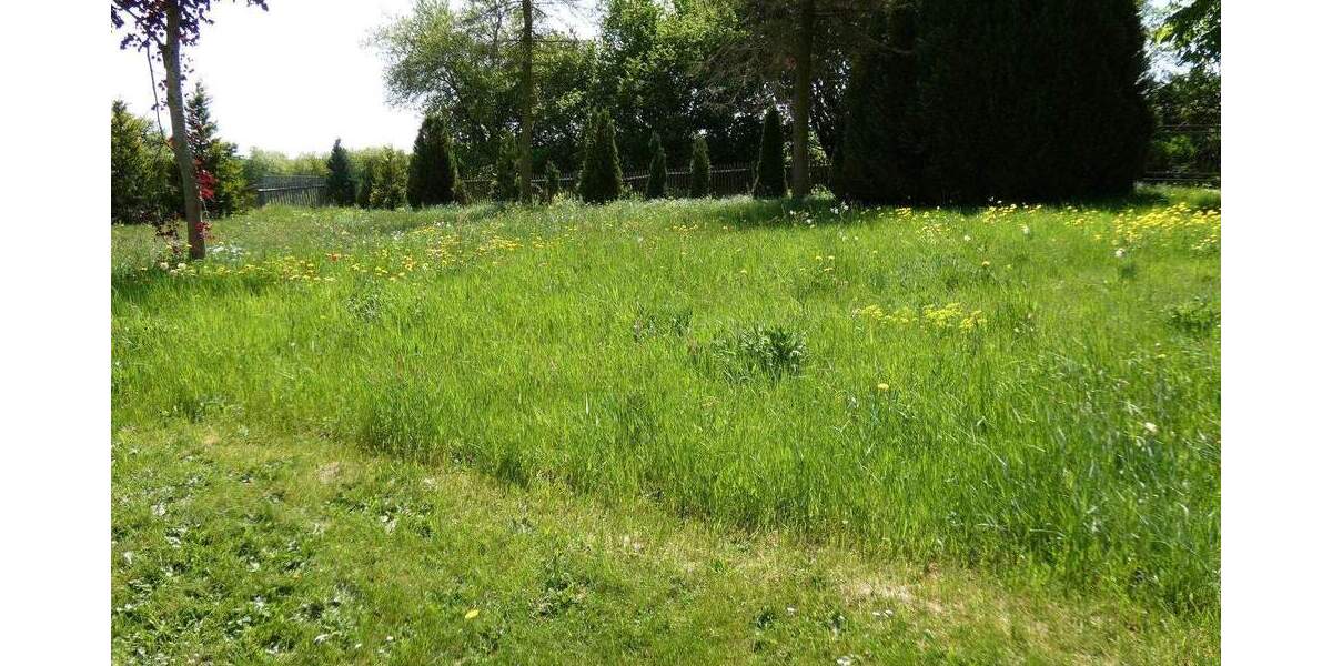 Einfamilienhaus Saalburg-Ebersdorf Friesau - 2 Zimmer, 470 m&sup2;, 298.000&euro; | Angebot:25731035