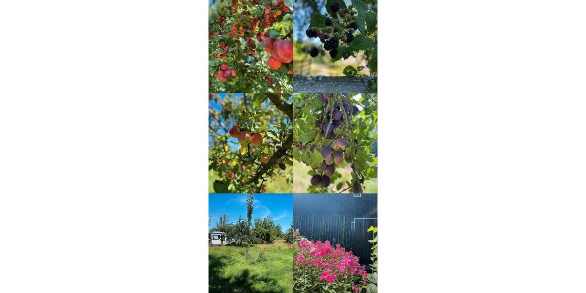 Bauernhaus, Landhaus Konradsreuth - 12 Zimmer, 500 m&sup2;, 299.000&euro; | Angebot:26226229