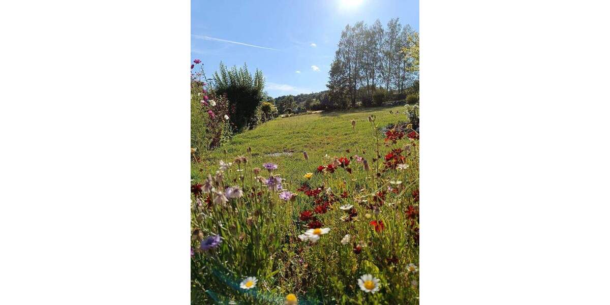 Grundstück Bad Steben - 70.000&euro; | Angebot:25835240