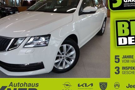 Skoda Octavia 128.569 km 13.490 &euro; Hof 95032