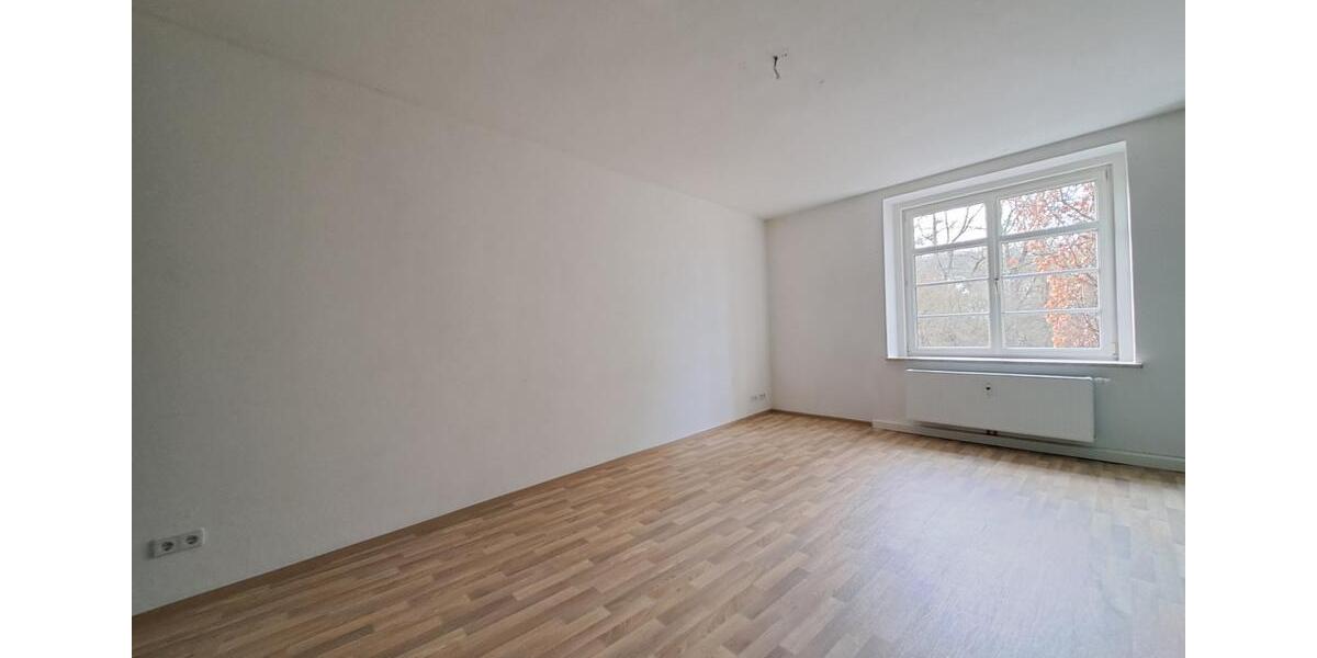 Etagenwohnung Plauen Alt Chrieschwitz - 2 Zimmer, 57 m&sup2;, 296&euro; | Angebot:25806592