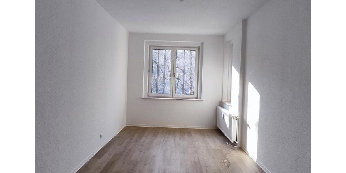 Etagenwohnung Plauen - 2 Zimmer, 61 m&sup2;, 370&euro; | Angebot:24644025