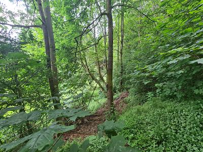 FAKTOR VON 7 MIT GARAGENKOMPLEX UND GRUNDSTÜCK - Grundstück Nordhalben | Angebot:26176128