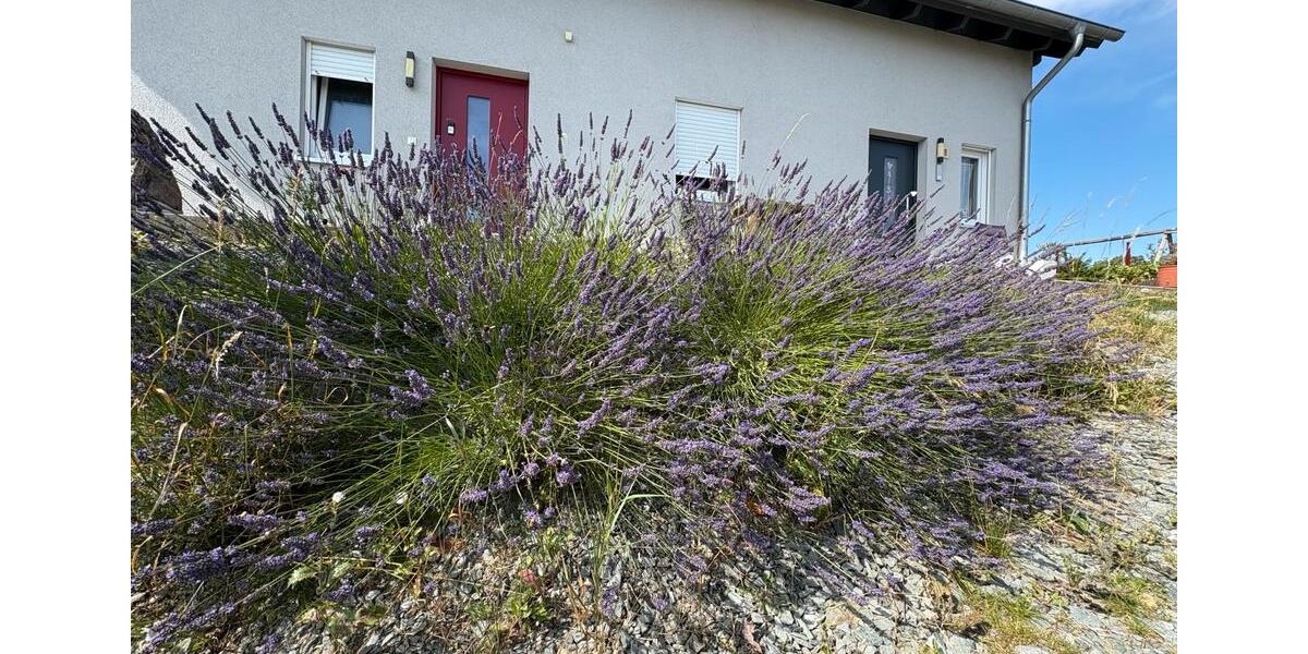 Mehrfamilienhaus, Wohnhaus Köditz - 9 Zimmer, 205 m&sup2;, 500.000&euro; | Angebot:26316221