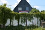Doppelhaushälfte Rosenthal am Rennsteig - 4 Zimmer, 80 m&sup2;, 57.000&euro; | Angebot:26955274