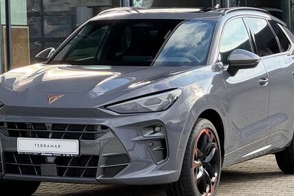 Cupra Terramar 16.500 km 45.990 &euro; Münchberg 95213