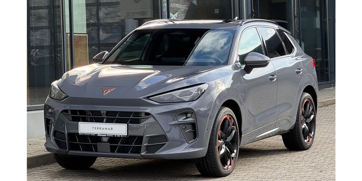 Cupra Terramar 16.500 km 45.990 &euro; Münchberg 95213