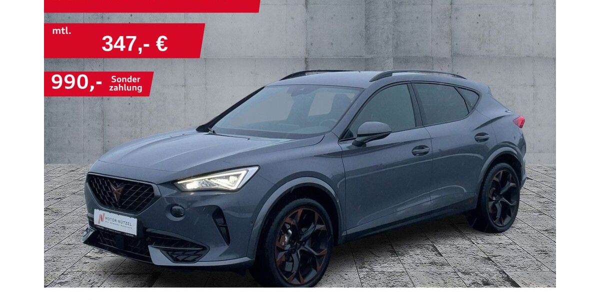 Cupra Formentor 63.565 km 25.700 &euro; Hof 95030