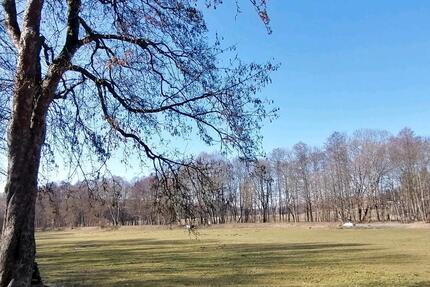 Gewerbeobjekt Schleiz - 400&euro; | Angebot:26038798