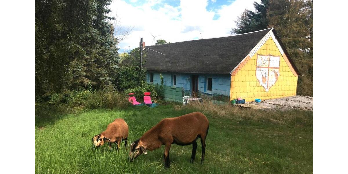 Bauernhaus, Landhaus Gefell - 12 Zimmer, 300 m&sup2;, 370.000&euro; | Angebot:25803486