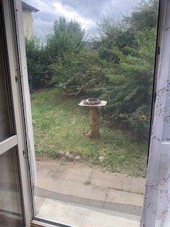 Erdgeschoßwohnung Plauen Altstadt - 1 Zimmer, 30 m&sup2;, 28.000&euro; | Angebot:26251626