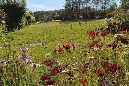 Grundstück Bad Steben - 70.000&euro; | Angebot:25835240