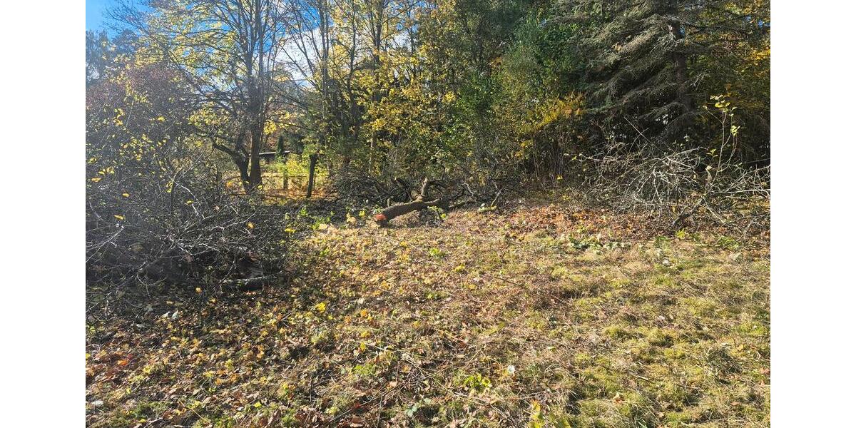 Grundstück Adorf/Vogtland Vogtland - 45.000&euro; | Angebot:21425945