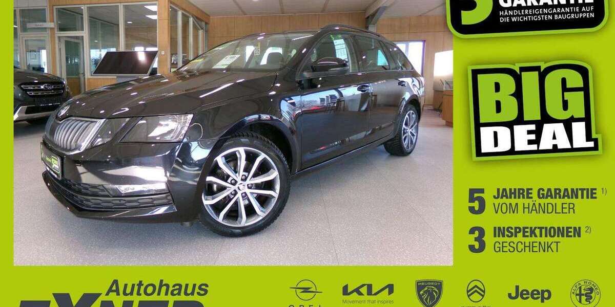 Skoda Octavia 109.224 km 13.850 &euro; Hof 95032