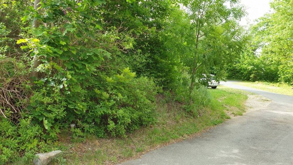 Grundstück Plauen Südvorstadt - 27.000&euro; | Angebot:25745615