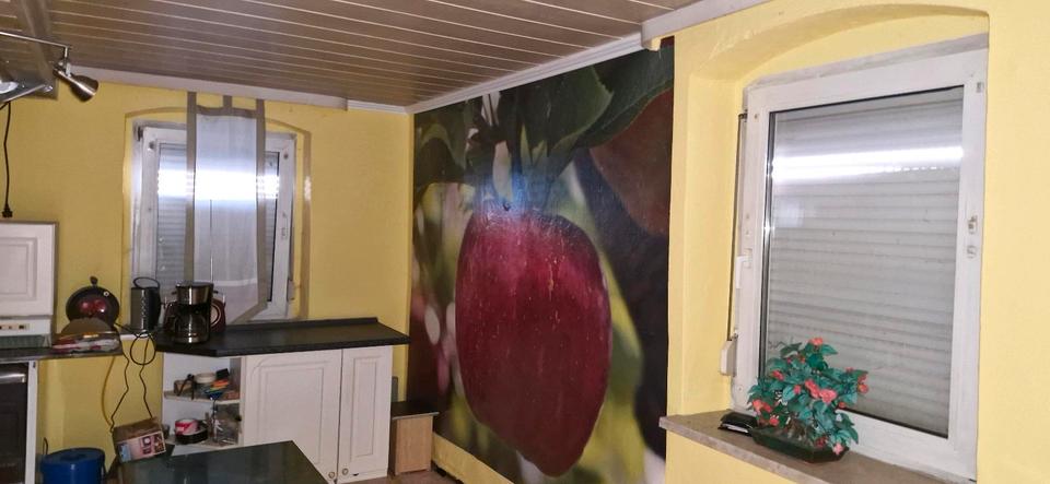 Einfamilienhaus Oelsnitz (Vogtland) - 4 Zimmer, 100 m&sup2;, 28.000&euro; | Angebot:25791828