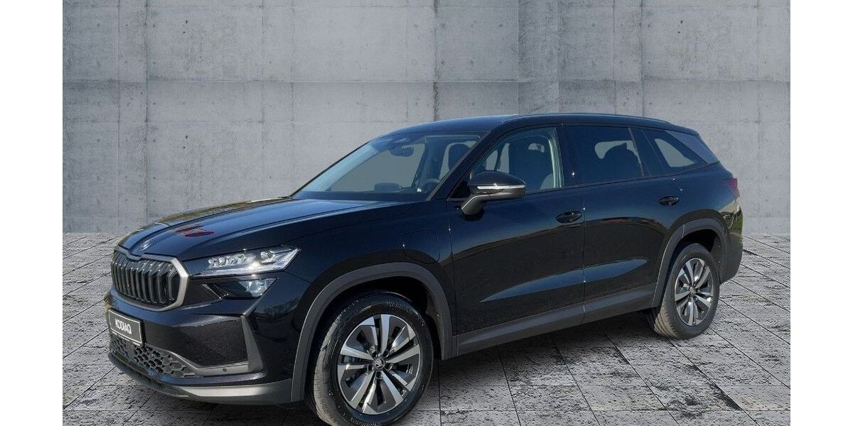 Skoda Kodiaq 2.000 km 48.970 &euro; Hof 95030