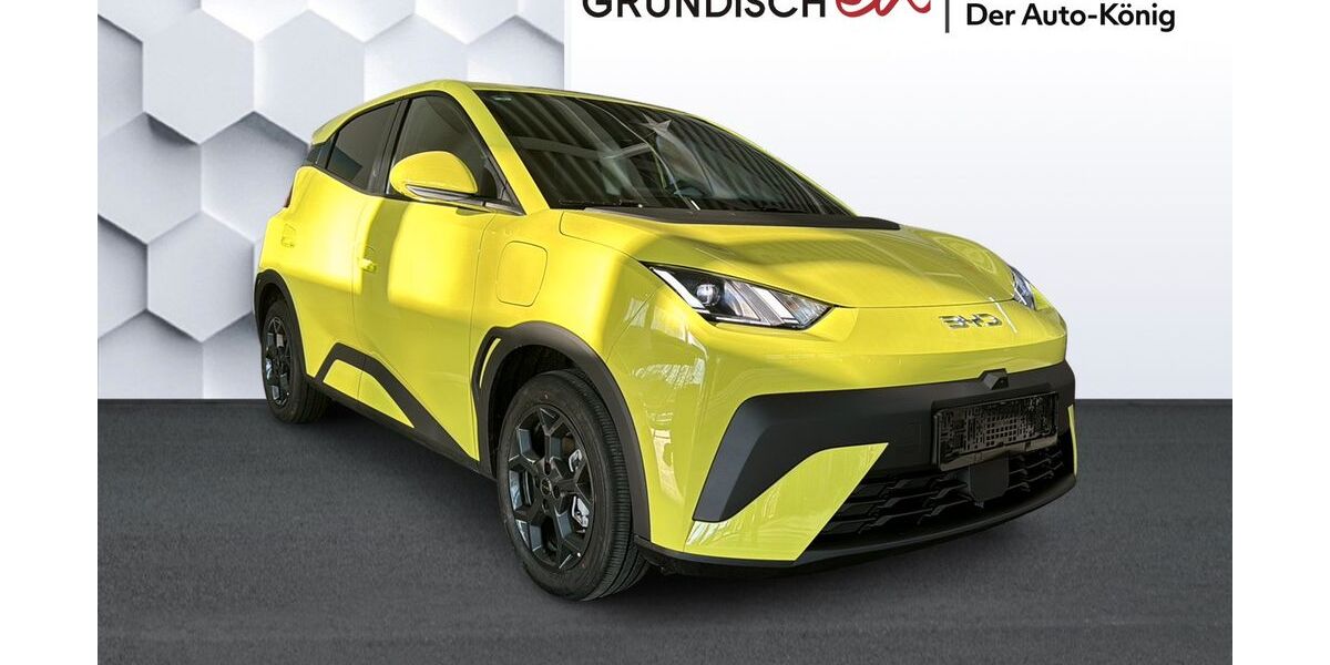 BYD DOLPHIN 2.999 km 23.390 &euro; Oberkotzau 95145