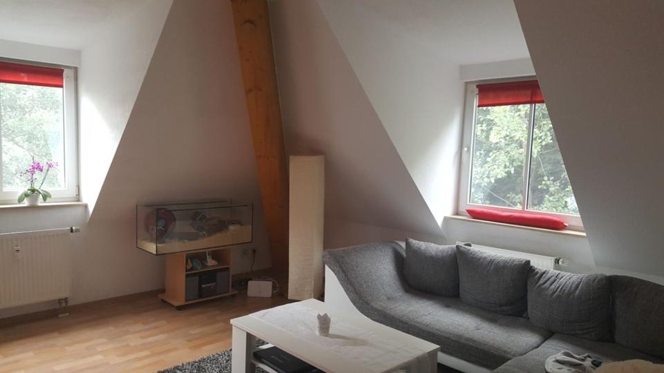 Dachgeschoßwohnung Hof Christiansreuth - 2 Zimmer, 55 m&sup2;, 490&euro; | Angebot:25931435
