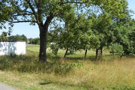 Grundstück Regnitzlosau - 35.000&euro; | Angebot:25108273